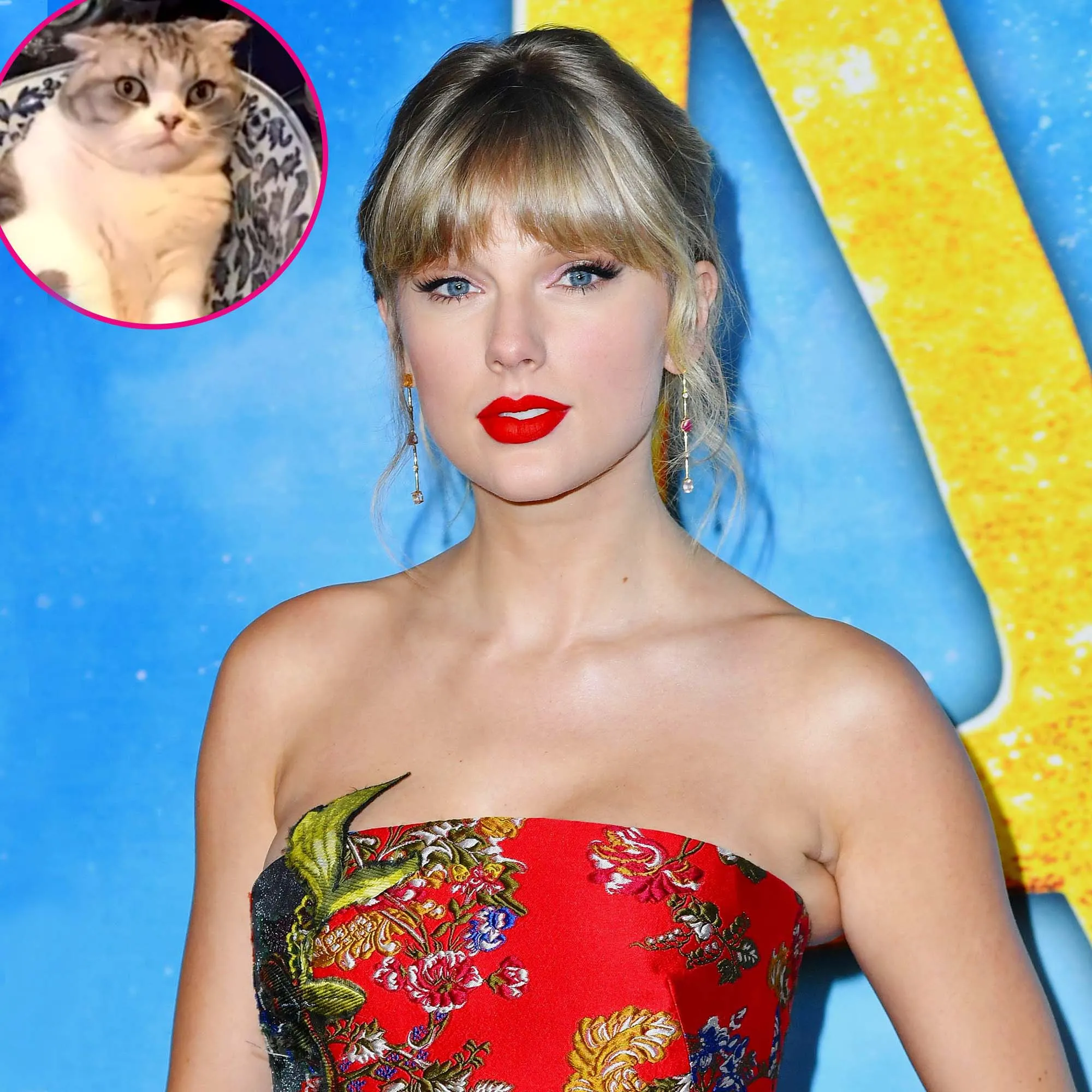Tell Us Why Taylor Swift Reveals Why Fans Haven’t Seen Cat Meredith 